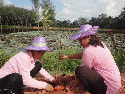 กิจกรรมการปลูกต้นไม้เฉลิมพระเกียรติพระบาทสมเด็จพระเจ้าอยู่หัว