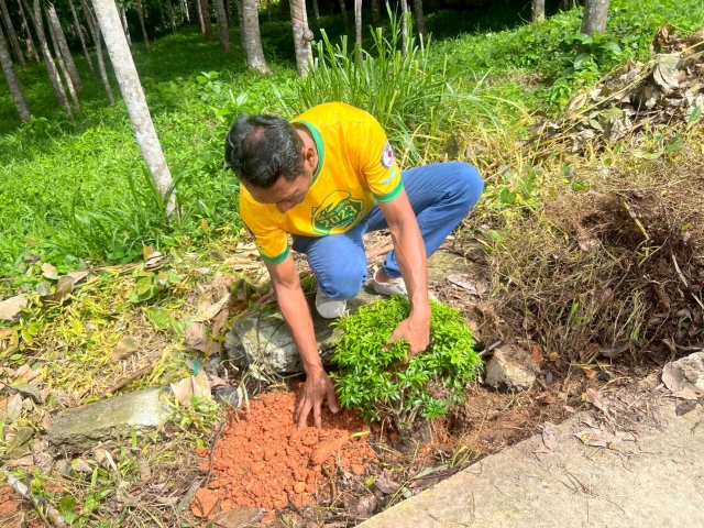 โครงการจัดกิจกรรมวันสำคัญของชาติ ศาสนาและรัฐพิธีที่สำคัญต่างๆ(กิจกรรมวันต้นไม้ประจำของชาติพ.ศ. 2568)