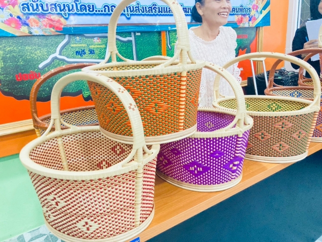 โครงการส่งเสริมและสนับสนุนการฝึกอาชีพคนพิการและผู้ดูแลคนพิการ (การสานตะกร้าหวายเทียม)