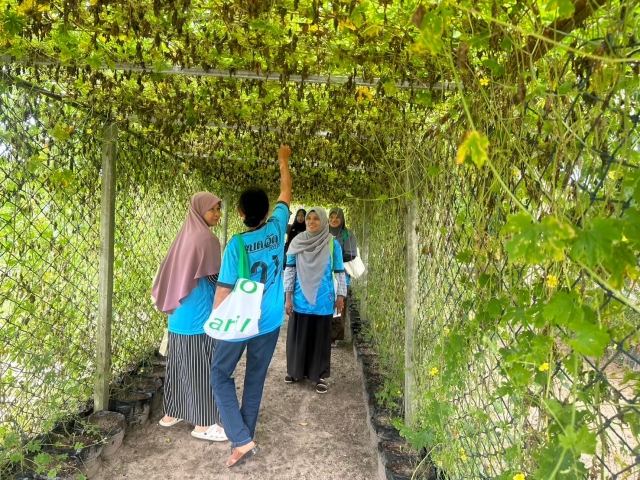 โครงการส่งเสิมอาชีพให้กับกลุ่มสตรี แม่บ้าน และประชาชนทั่วไป ประจำปี 2567  ณ.ฟาร์มตัวอย่าง