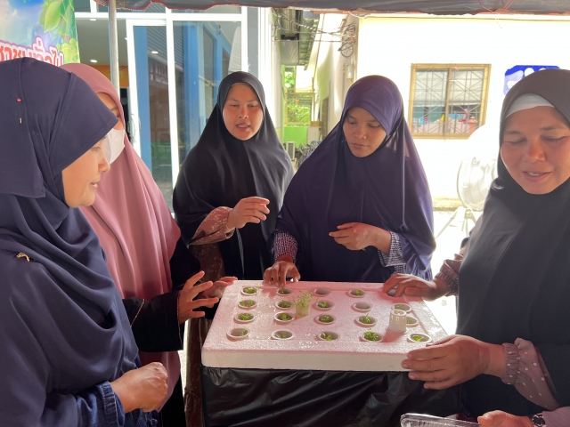 โครงการส่งเสริมอาชีพให้กับกลุ่มสตรี แม่บ้าน และประชาชนทั่วไป ประจำปีงบประมาณ พ.ศ. 2568