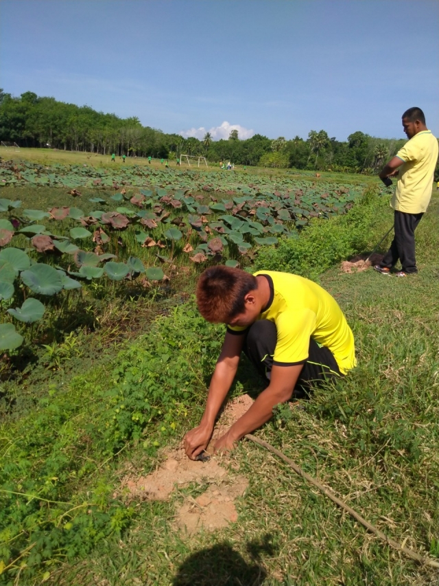 โครงการปลุกต้นไม้เฉลิมพระเกียรติสมเด็จพระบรมราชินีนาถเนื่องในวันต้นไม้ประจำปีของชาติ พ.ศ.2565