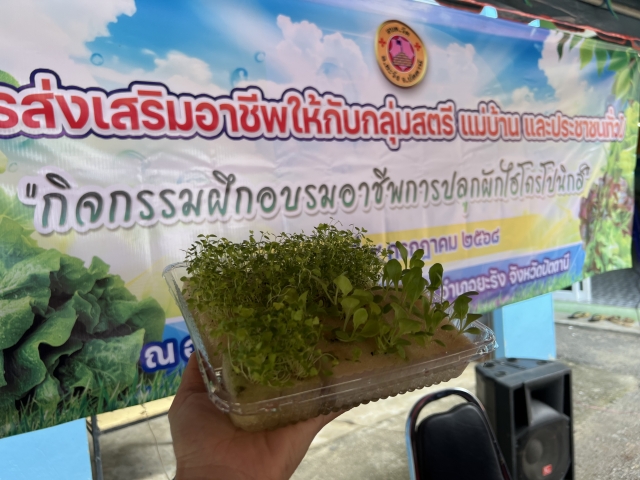 โครงการส่งเสริมอาชีพให้กับกลุ่มสตรี แม่บ้าน และประชาชนทั่วไป ประจำปีงบประมาณ พ.ศ. 2568