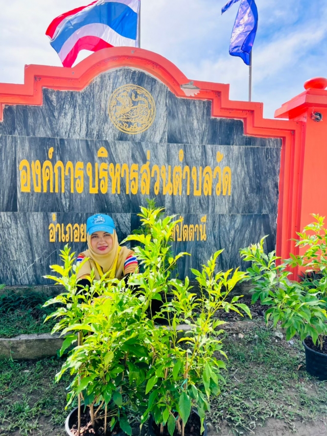 จิตอาสาปลูกต้นไม้ 2566
