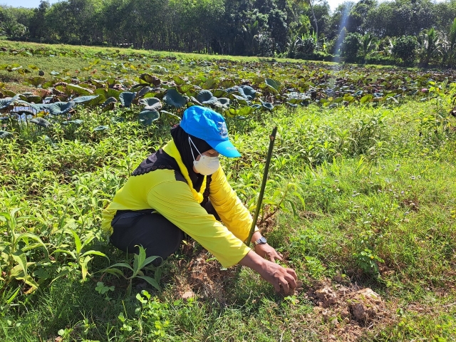 โครงการปลุกต้นไม้เฉลิมพระเกียรติสมเด็จพระบรมราชินีนาถเนื่องในวันต้นไม้ประจำปีของชาติ พ.ศ.2565