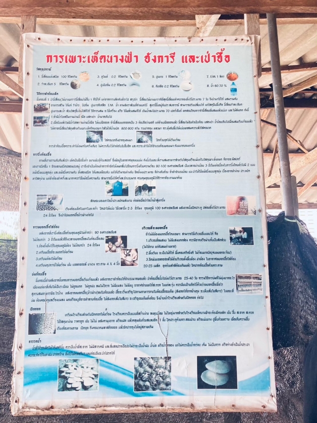 โครงการส่งเสิมอาชีพให้กับกลุ่มสตรี แม่บ้าน และประชาชนทั่วไป ประจำปี 2567  ณ.ฟาร์มตัวอย่าง