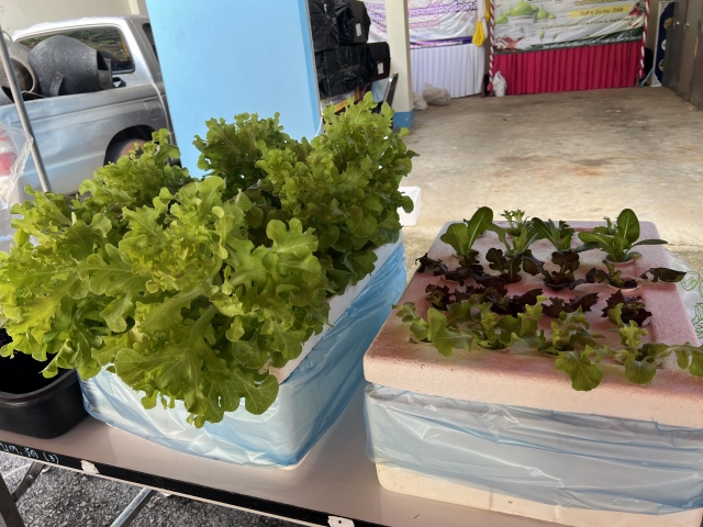 โครงการส่งเสริมอาชีพให้กับกลุ่มสตรี แม่บ้าน และประชาชนทั่วไป ประจำปีงบประมาณ พ.ศ. 2568
