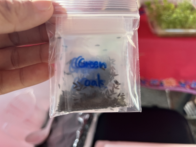 โครงการส่งเสริมอาชีพให้กับกลุ่มสตรี แม่บ้าน และประชาชนทั่วไป ประจำปีงบประมาณ พ.ศ. 2568
